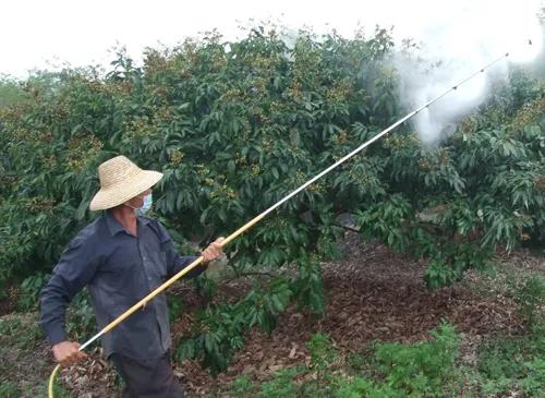 怎样清洗打过除草剂的喷雾器（打过农药喷雾器的清理方法）