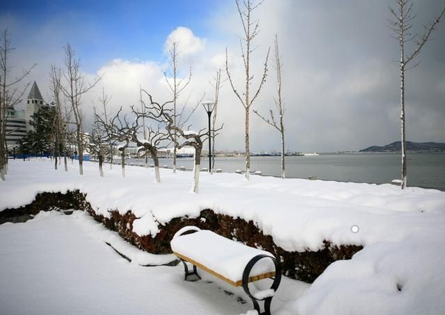 雪水浇花好不好（下雪化的水浇花有什么好处）