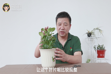 让这个叶片呢比较规整