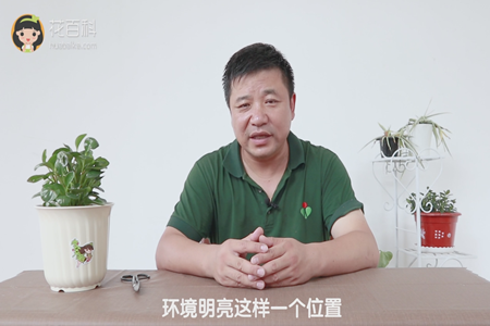 环境明亮这样一个位置