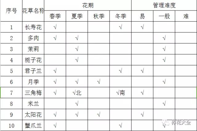 20厘米室内飘窗，也能养成大花园，一年到头花开不断！